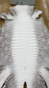 喜馬拉雅尼羅鱷魚皮帶 - Himalaya原色皮帶，奢華與藝術的結晶