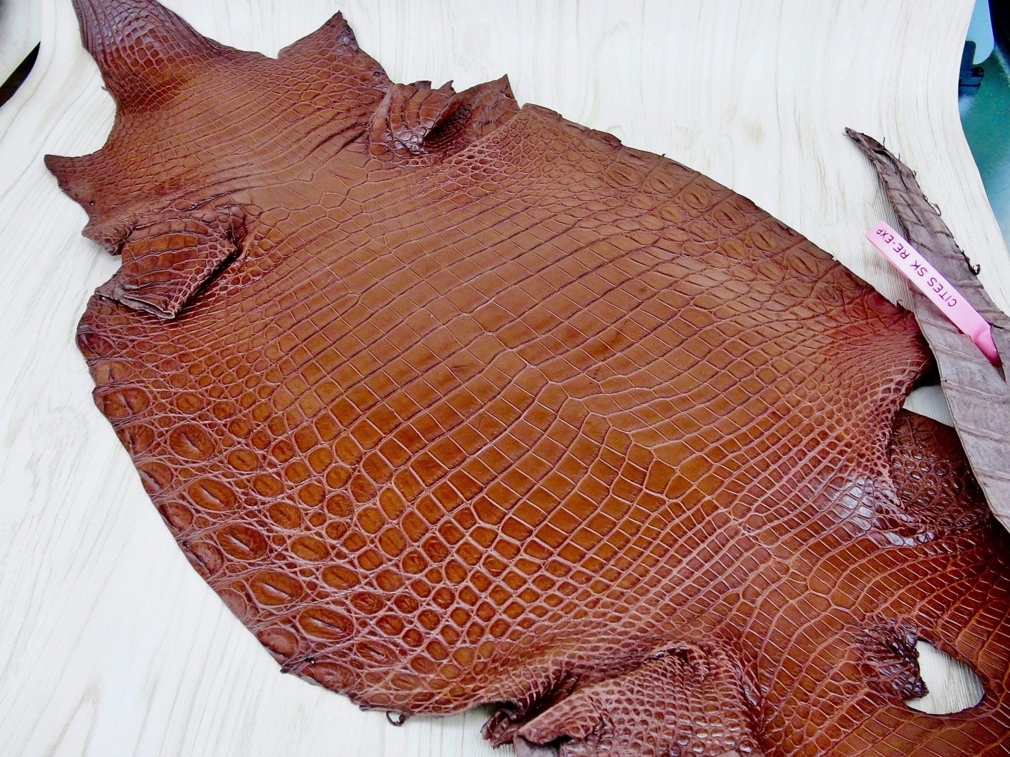 LEATHER Nile Crocodile Brown FOBO CROCODILE